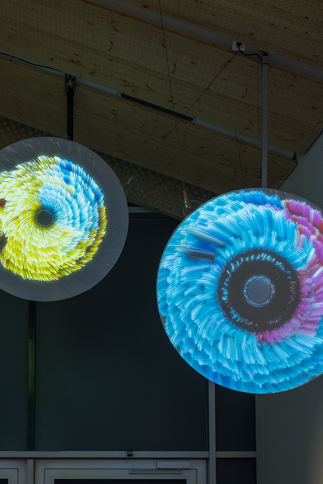 Lighten Up! On Biology and Time | MIT Museum