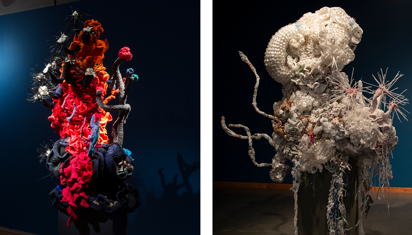 MIT Museum Presents Crochet Coral Reef, an Exhibition Transforming
