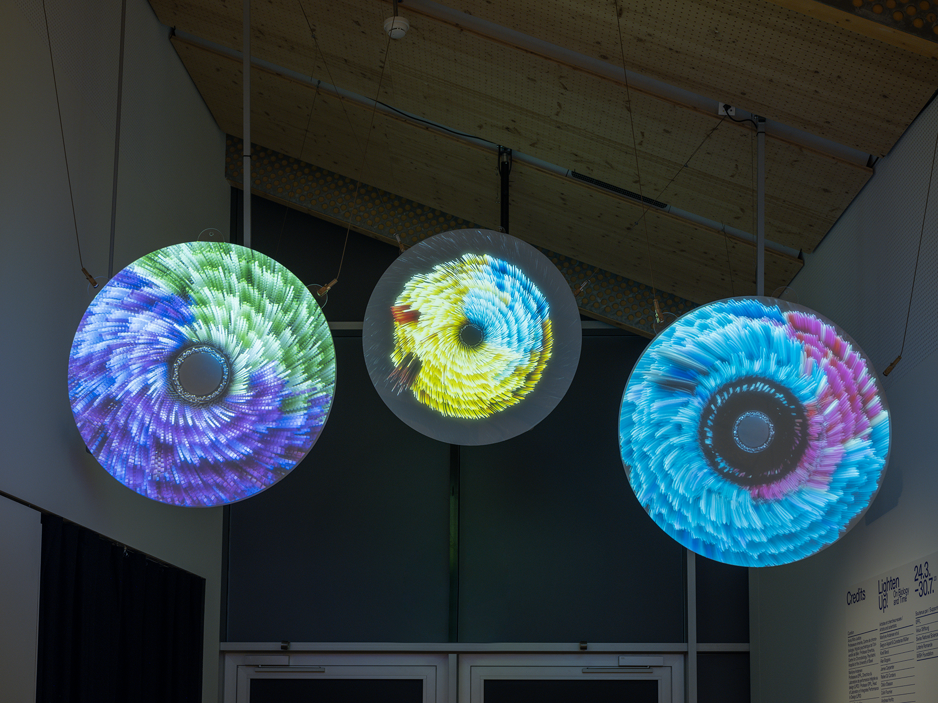 MIT Museum Announces Lighten Up! On Biology and Time, an MIT Museum Announces Lighten Up! On Biology and Time, an