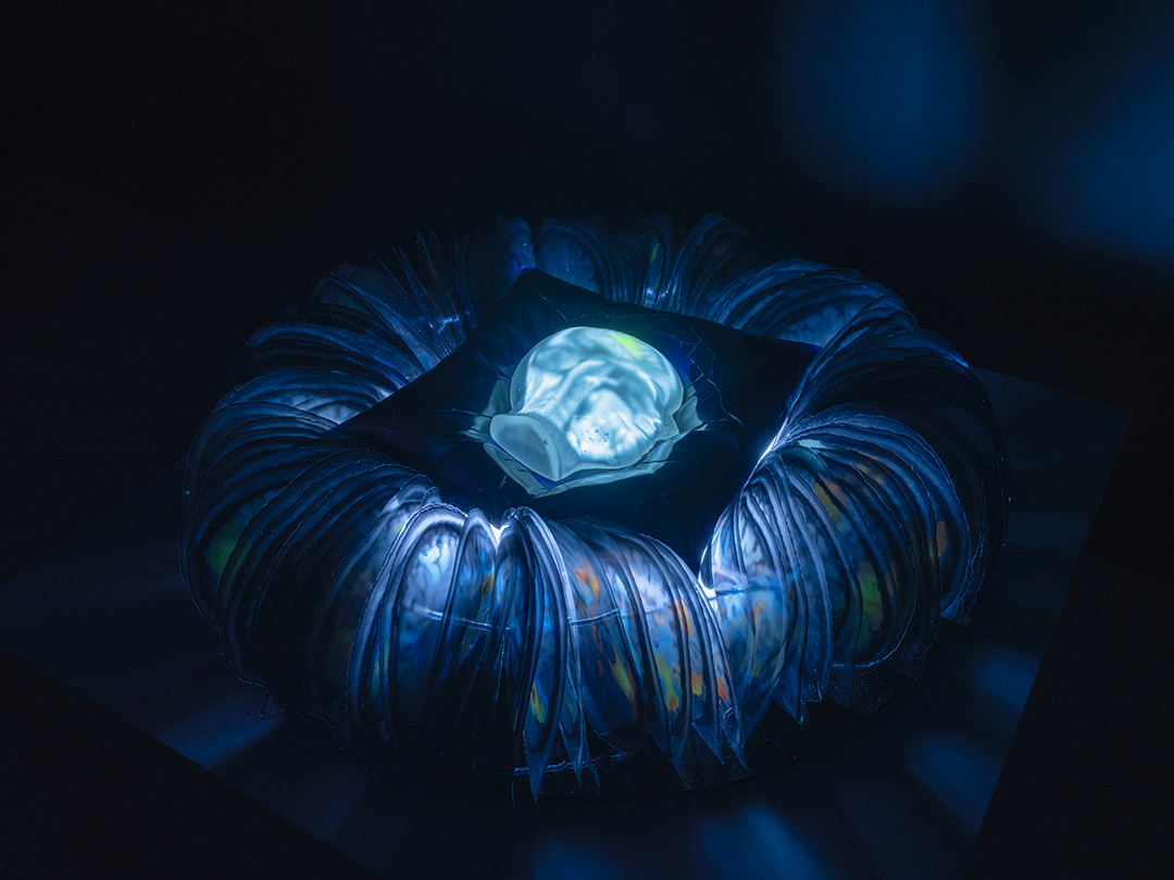 MIT Museum Announces Lighten Up! On Biology and Time, an