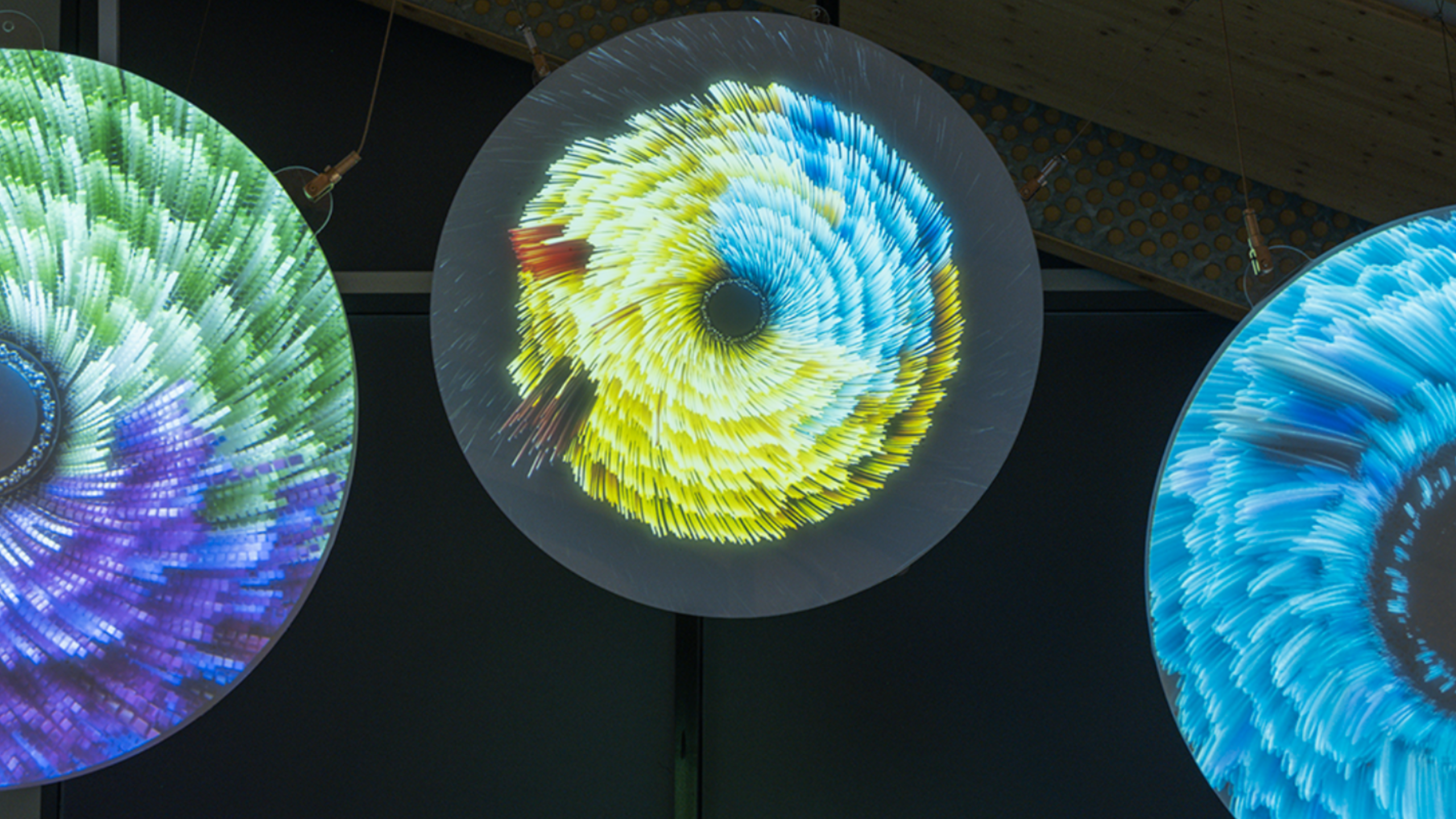 MIT Museum Announces Lighten Up! On Biology and Time, an