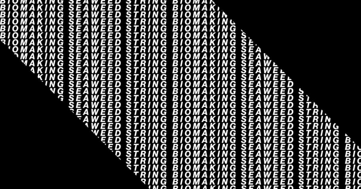 Biomaking Seaweed String Family MIT Museum